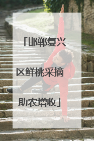 邯郸复兴区鲜桃采摘助农增收