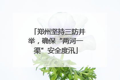 郑州坚持三防并举，确保“两河一渠”安全度汛