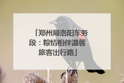 郑州局洛阳车务段：粽情相伴温馨旅客出行路