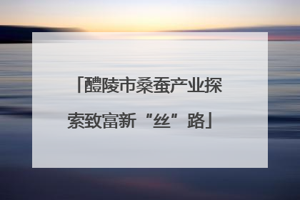 醴陵市桑蚕产业探索致富新“丝”路