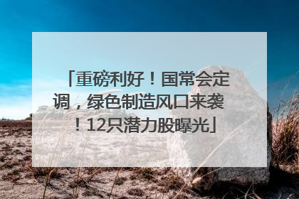 重磅利好！国常会定调，绿色制造风口来袭！12只潜力股曝光