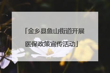金乡县鱼山街道开展医保政策宣传活动