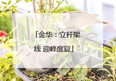 金华：立杆架线 迎峰度夏