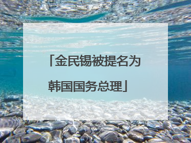 金民锡被提名为韩国国务总理