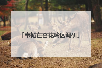 韦韬在杏花岭区调研