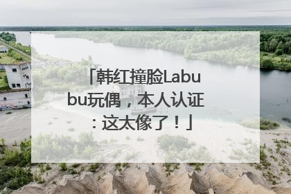 韩红撞脸Labubu玩偶，本人认证：这太像了！