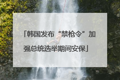 韩国发布“禁枪令”加强总统选举期间安保