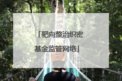 靶向整治织密基金监管网络