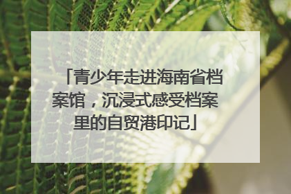 青少年走进海南省档案馆，沉浸式感受档案里的自贸港印记
