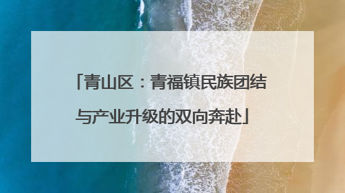青山区：青福镇民族团结与产业升级的双向奔赴
