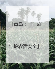 青岛：“三夏”护农话安全