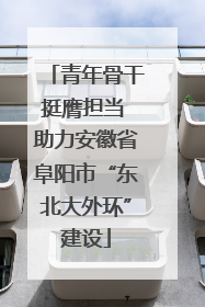 青年骨干挺膺担当 助力安徽省阜阳市“东北大外环”建设