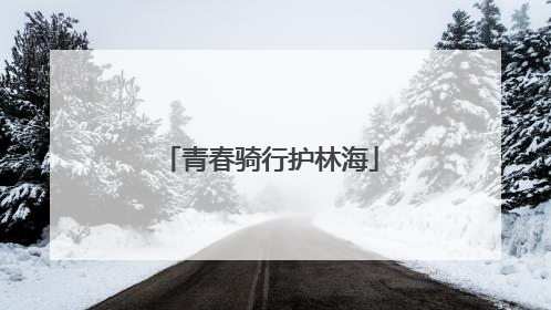 青春骑行护林海