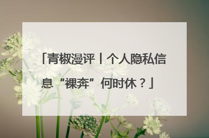 青椒漫评丨个人隐私信息“裸奔”何时休？