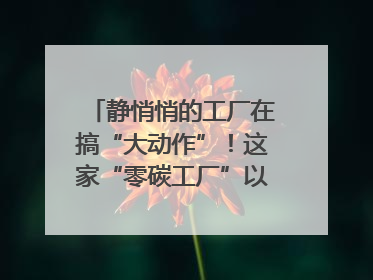静悄悄的工厂在搞“大动作”！这家“零碳工厂”以“三创三增”探索共富新路径｜网络名人四川行
