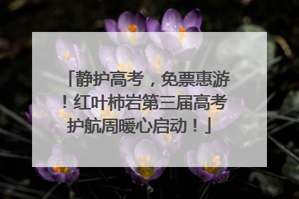 静护高考，免票惠游！红叶柿岩第三届高考护航周暖心启动！