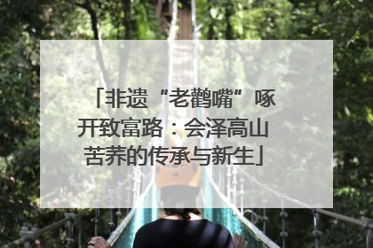 非遗“老鹳嘴”啄开致富路：会泽高山苦荞的传承与新生