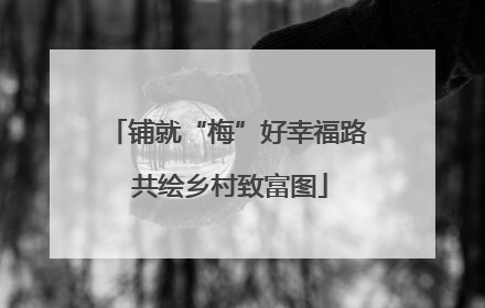 铺就“梅”好幸福路 共绘乡村致富图
