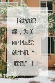 铁轨织绿，为美丽中国绘就生机“底色”