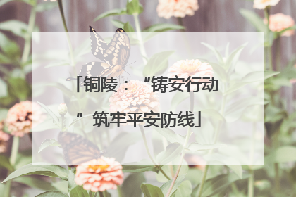 铜陵：“铸安行动”筑牢平安防线