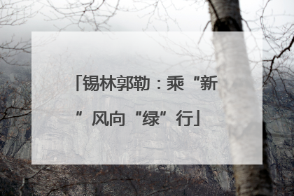 锡林郭勒：乘“新”风向“绿”行