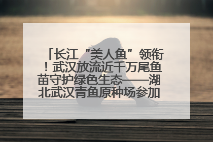 长江“美人鱼”领衔！武汉放流近千万尾鱼苗守护绿色生态——湖北武汉青鱼原种场参加2025年“全国放鱼日”增殖放流活动