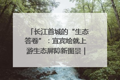 长江首城的“生态答卷”：宜宾绘就上游生态屏障新图景｜中华环保世纪行