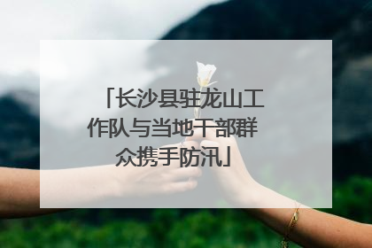 长沙县驻龙山工作队与当地干部群众携手防汛