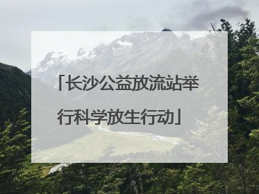长沙公益放流站举行科学放生行动