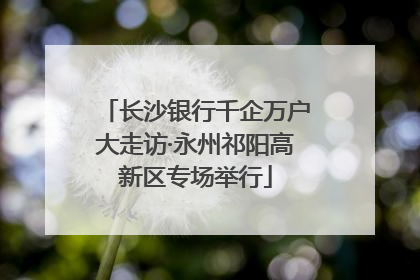 长沙银行千企万户大走访·永州祁阳高新区专场举行