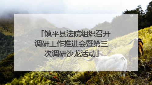 镇平县法院组织召开调研工作推进会暨第三次调研沙龙活动