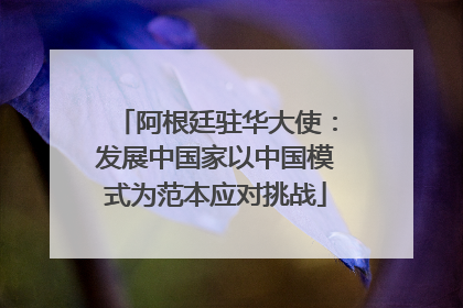 阿根廷驻华大使：发展中国家以中国模式为范本应对挑战
