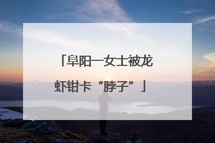 阜阳一女士被龙虾钳卡“脖子”