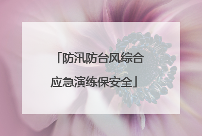 防汛防台风综合应急演练保安全