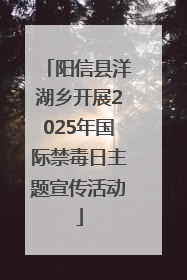 阳信县洋湖乡开展2025年国际禁毒日主题宣传活动