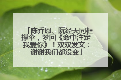 陈乔恩、阮经天同框撑伞，梦回《命中注定我爱你》！双双发文：谢谢我们都没变