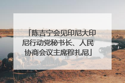 陈吉宁会见印尼大印尼行动党秘书长、人民协商会议主席穆扎尼