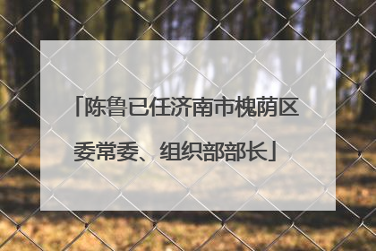 陈鲁已任济南市槐荫区委常委、组织部部长