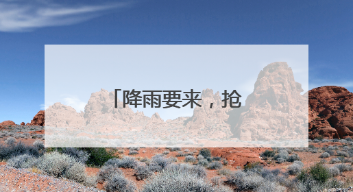 降雨要来，抢收小麦开启“倍速模式”