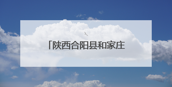 陕西合阳县和家庄镇：“小网格”汇聚“大能量” 激活基层治理新动能