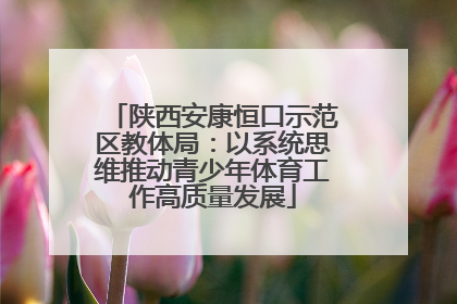 陕西安康恒口示范区教体局：以系统思维推动青少年体育工作高质量发展