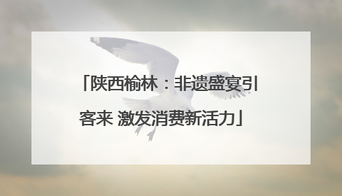 陕西榆林：非遗盛宴引客来 激发消费新活力