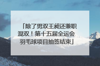 除了男双王昶还兼职混双！第十五届全运会羽毛球项目抽签结束