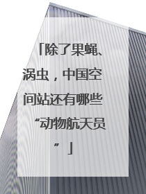 除了果蝇、涡虫，中国空间站还有哪些“动物航天员”
