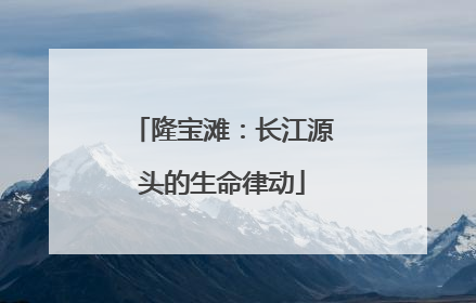 隆宝滩：长江源头的生命律动