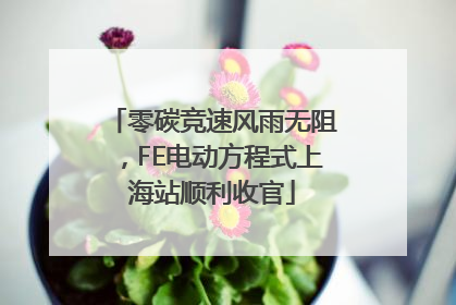 零碳竞速风雨无阻，FE电动方程式上海站顺利收官