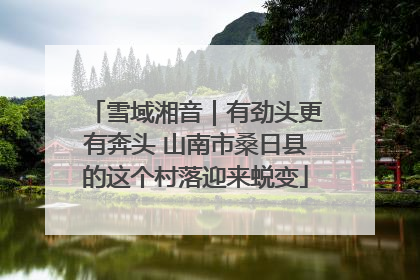 雪域湘音｜有劲头更有奔头 山南市桑日县的这个村落迎来蜕变