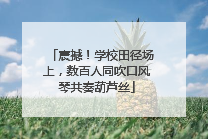 震撼！学校田径场上，数百人同吹口风琴共奏葫芦丝