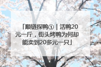 顺链探鸭①｜活鸭20元一斤，街头烤鸭为何却能卖到20多元一只