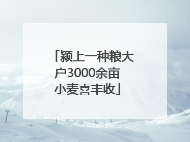 颍上一种粮大户3000余亩小麦喜丰收